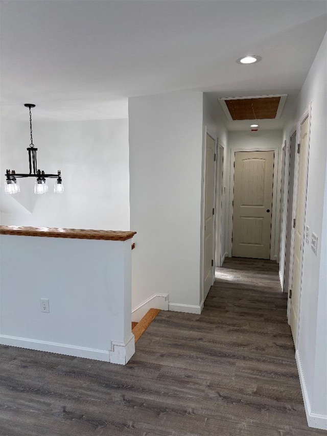 hallway featuring dark hardwood / wood-style flooring