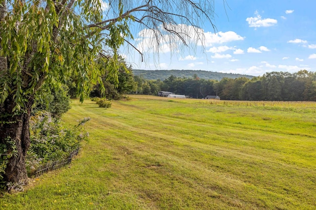 view of yard featuring a rural view