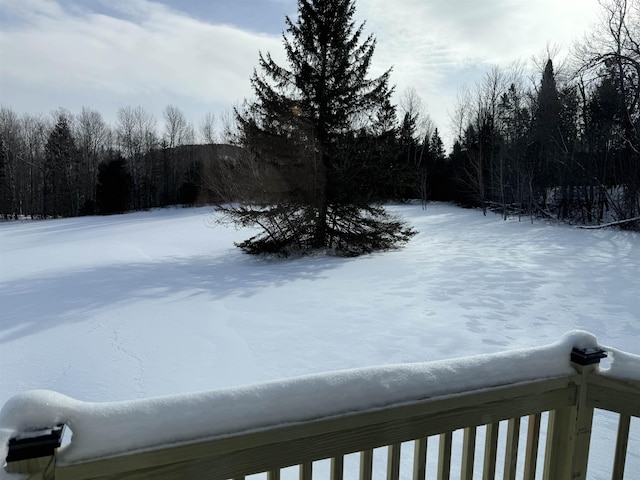 view of yard covered in snow