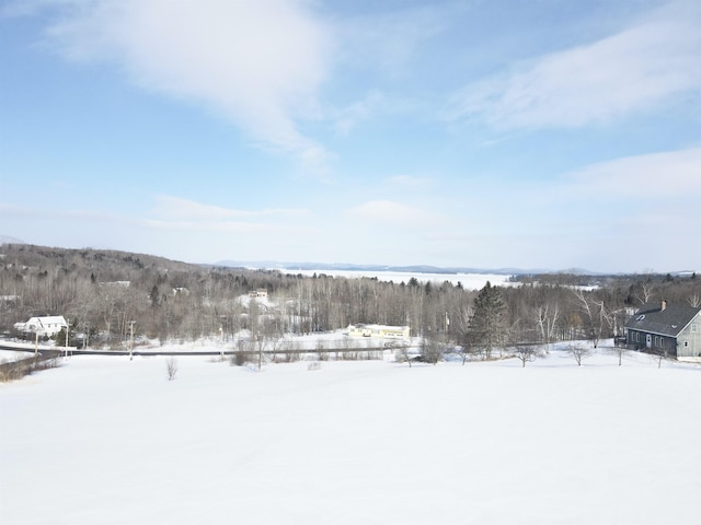 view of snowy yard