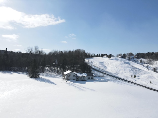 view of snowy yard