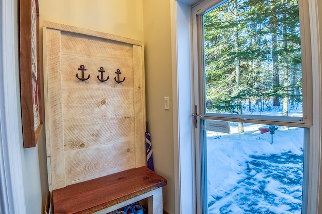 mudroom with a wealth of natural light