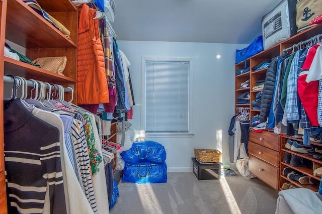 spacious closet featuring carpet