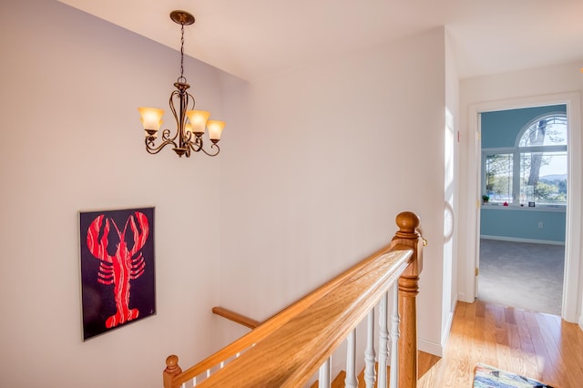 hallway with an inviting chandelier and light hardwood / wood-style flooring