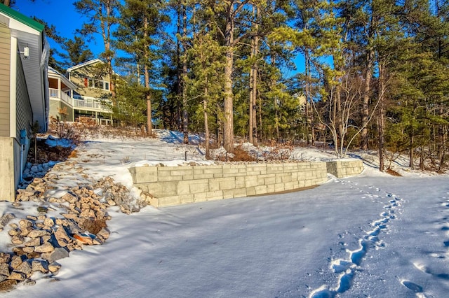 view of yard covered in snow