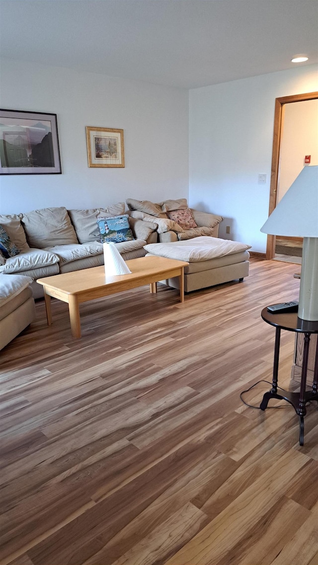 living room featuring hardwood / wood-style floors