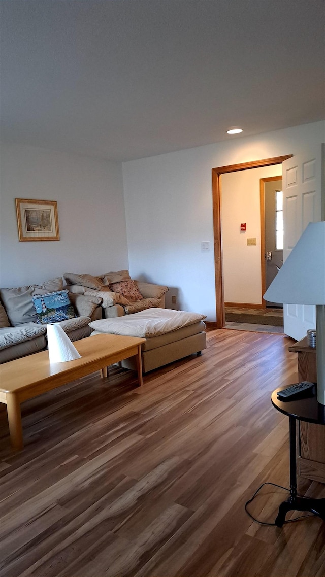 living room with dark wood-type flooring