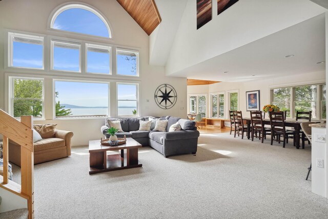 carpeted living room with a towering ceiling and a healthy amount of sunlight