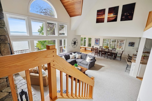 carpeted living room with high vaulted ceiling