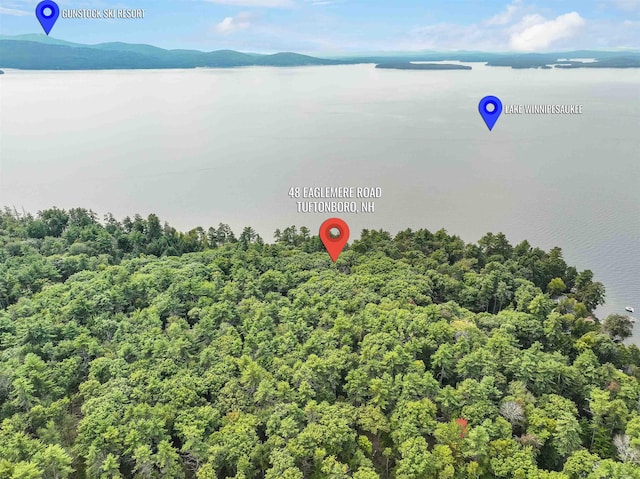 birds eye view of property featuring a water and mountain view