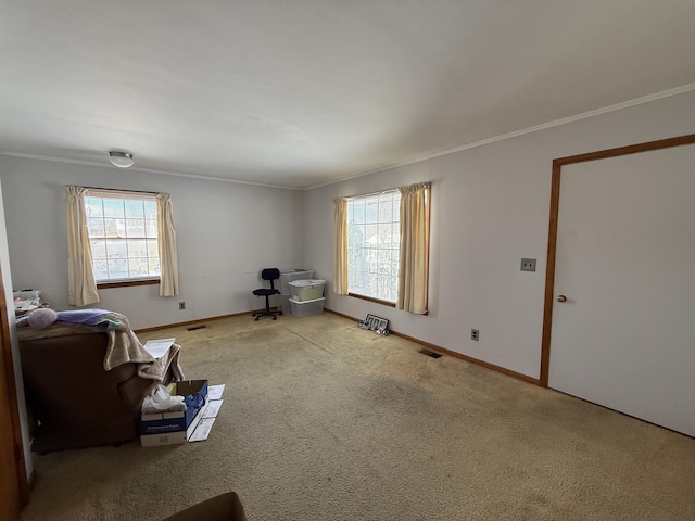 carpeted empty room featuring crown molding