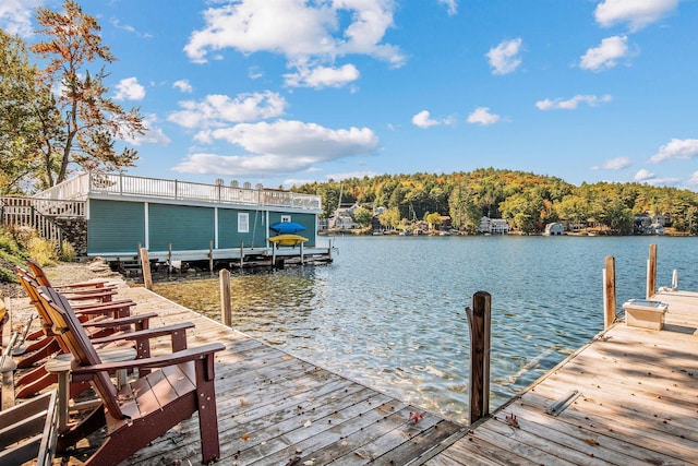 dock area with a water view