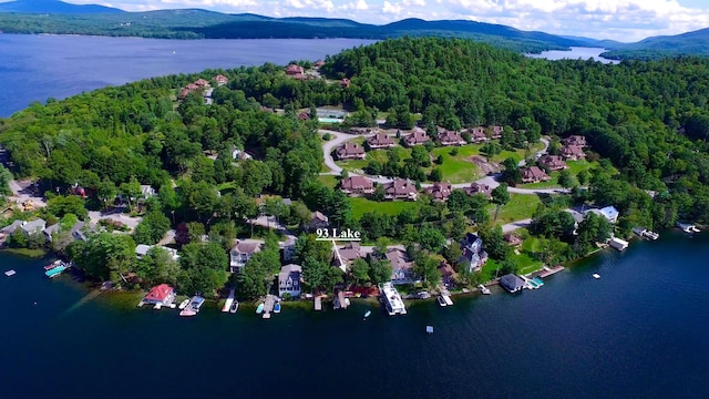 bird's eye view with a water and mountain view