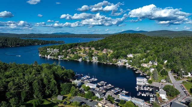 drone / aerial view featuring a water and mountain view