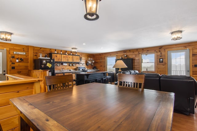 dining area featuring sink and light hardwood / wood-style floors