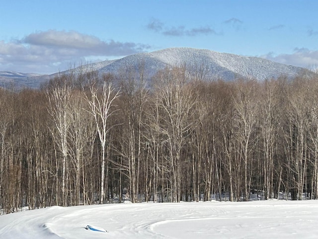 view of mountain feature