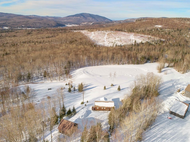 snowy aerial view featuring a mountain view