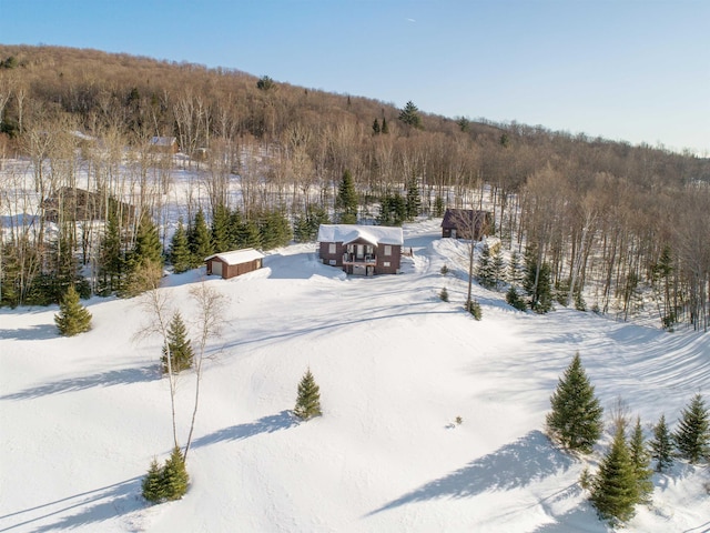 view of snowy aerial view