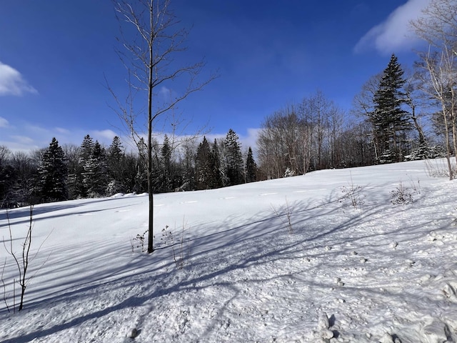 Listing photo 2 for 278 Mosher Rd, Sheffield VT 05866