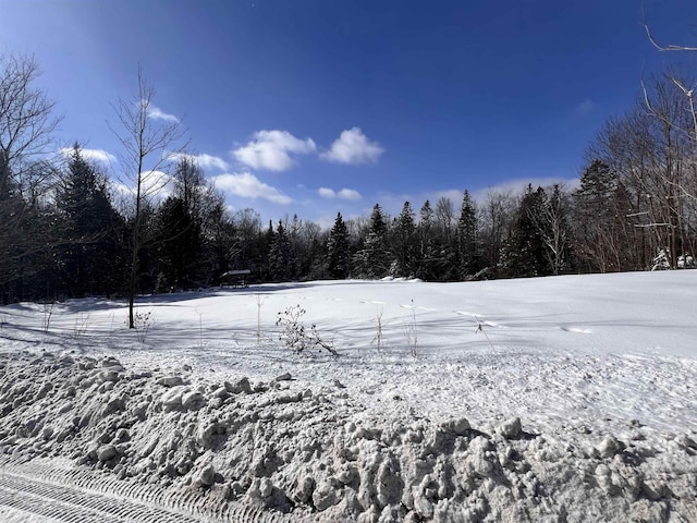 Listing photo 3 for 278 Mosher Rd, Sheffield VT 05866