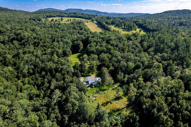 birds eye view of property featuring a mountain view