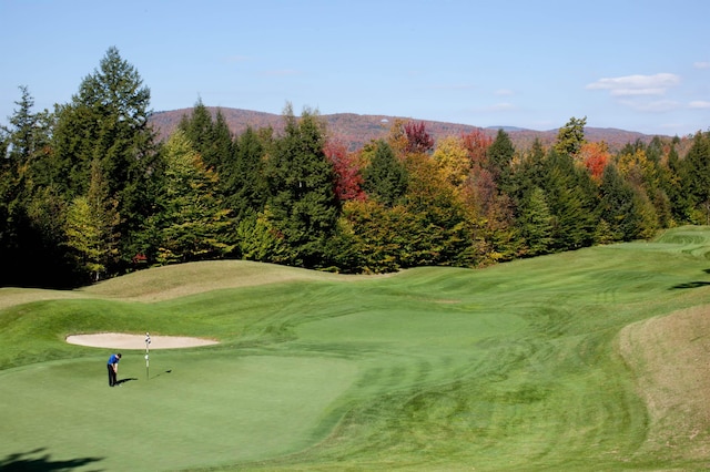 view of property's community featuring a lawn