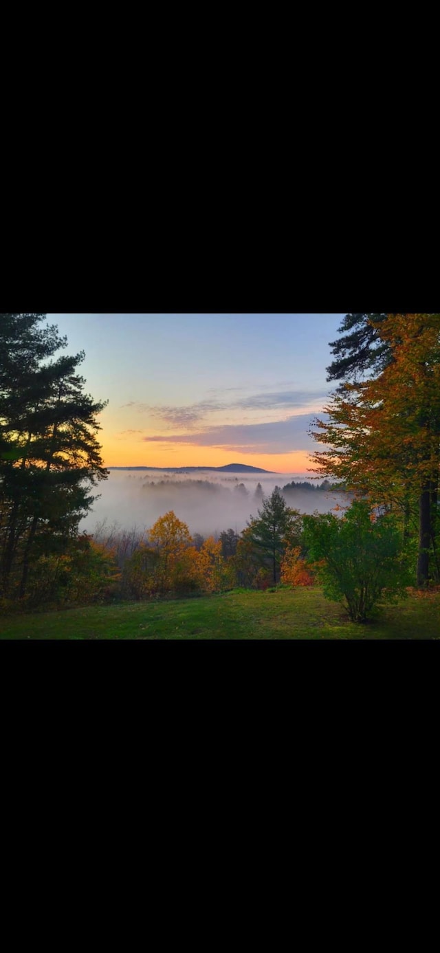 view of nature at dusk