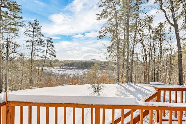 view of yard covered in snow