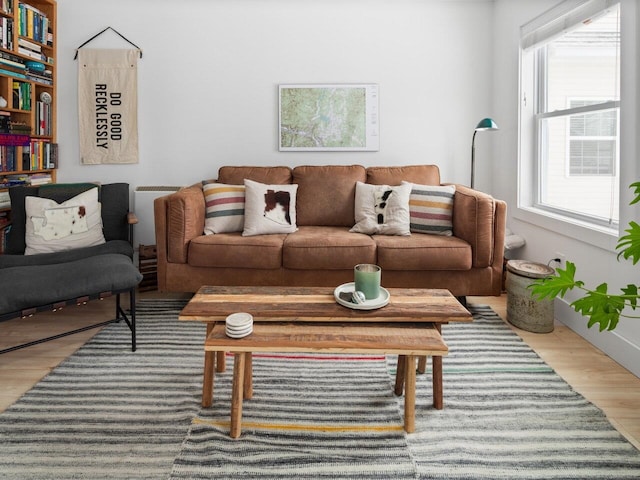 living room featuring wood-type flooring