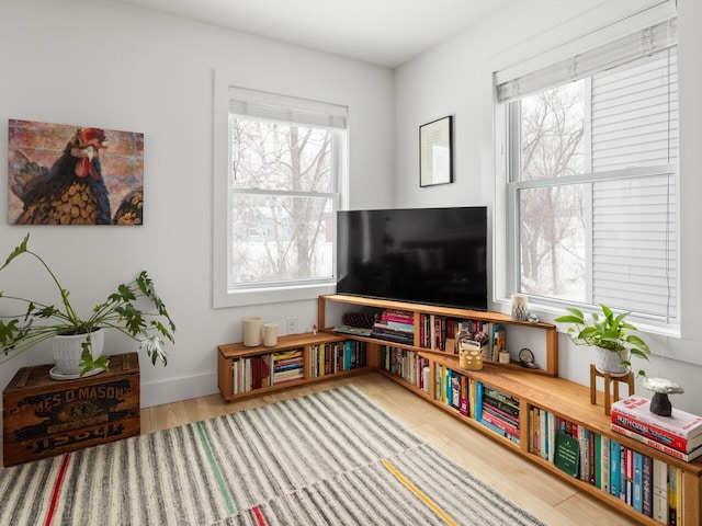 living area with wood-type flooring