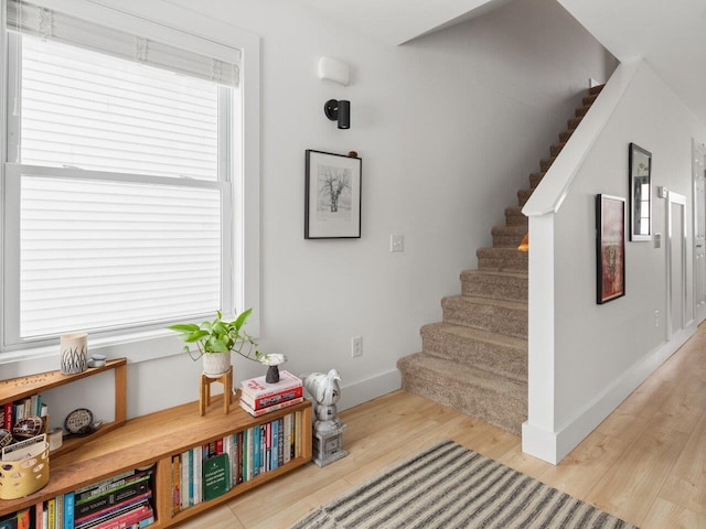 staircase featuring wood-type flooring