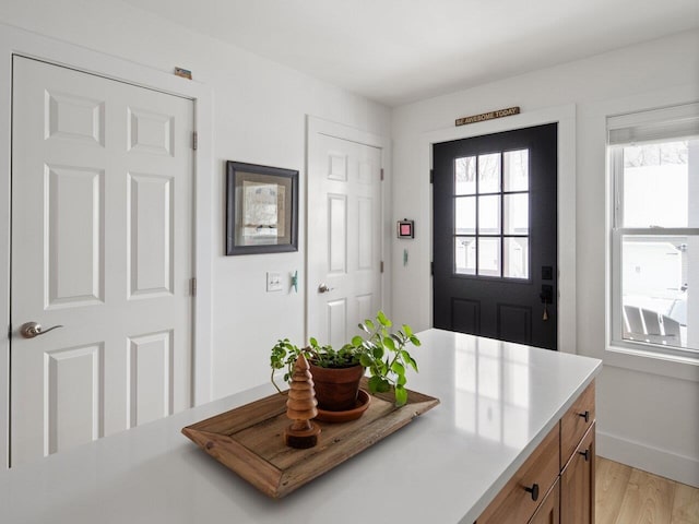 foyer entrance with light hardwood / wood-style floors and a wealth of natural light