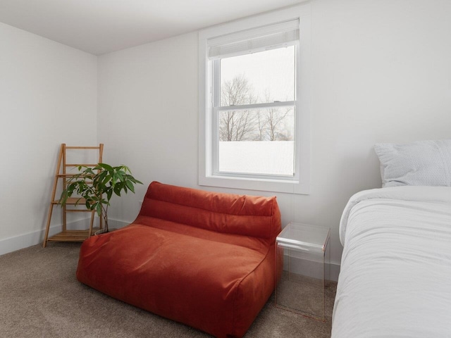 living area featuring plenty of natural light and carpet flooring