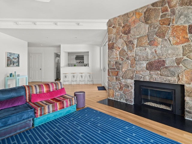 living room with hardwood / wood-style flooring and a stone fireplace