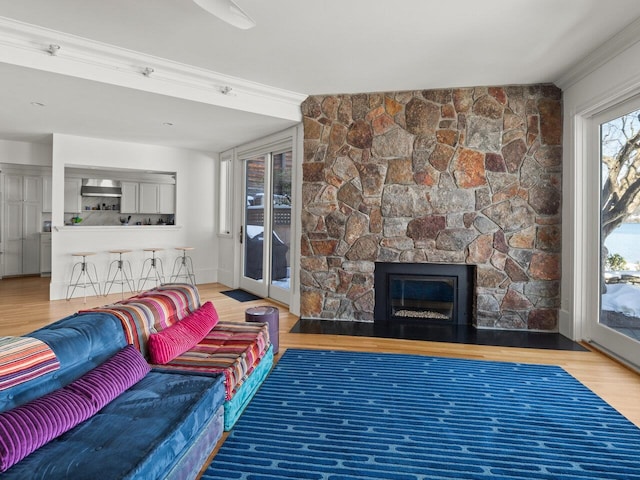 living room featuring ornamental molding, wood-type flooring, and a fireplace