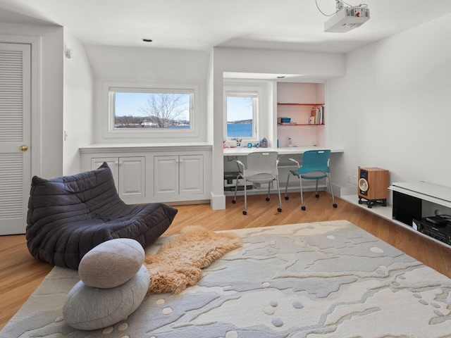 office area featuring light hardwood / wood-style floors