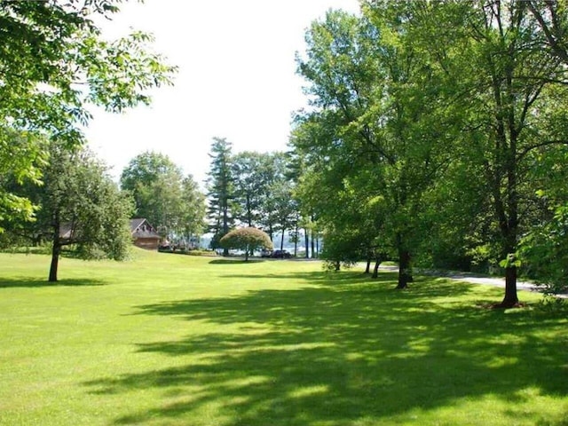 view of property's community featuring a lawn