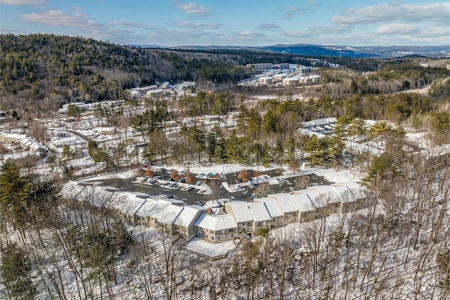 snowy aerial view featuring a mountain view