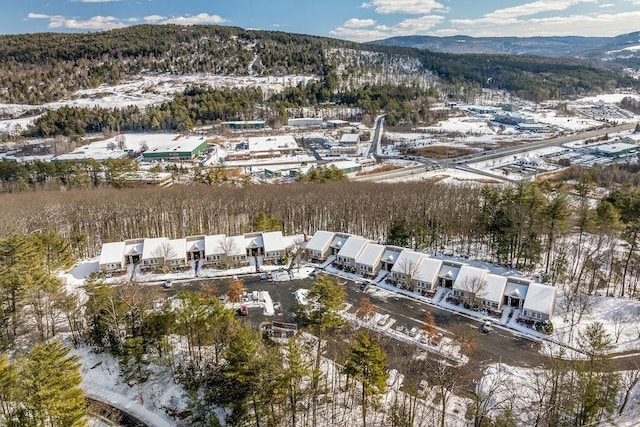 snowy aerial view with a mountain view