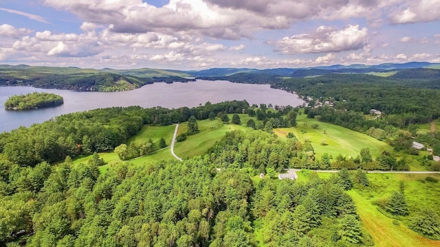 111 Prospect Point Rd, Castleton VT, 05735 land for sale