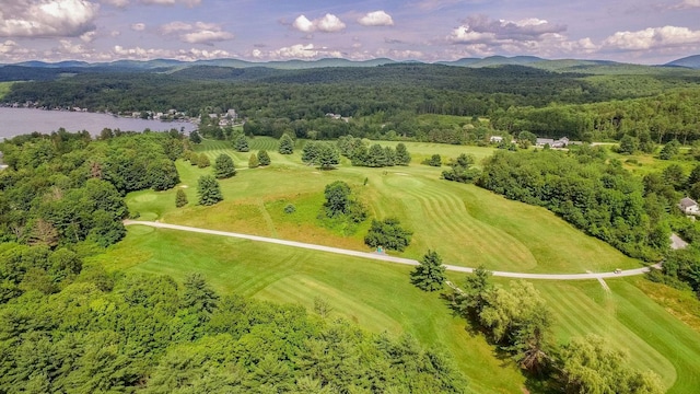 Listing photo 3 for 111 Prospect Point Rd, Castleton VT 05735