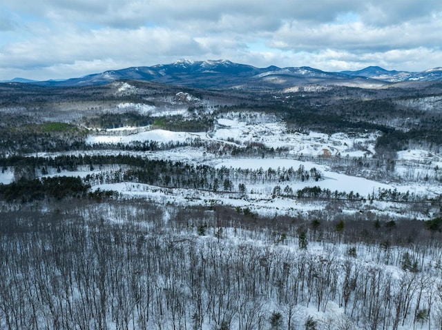 8 Grimsel Rd, Madison, NH 03849