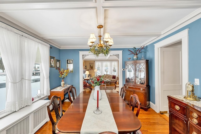 44 Winnicoash St, Laconia, NH 03246 - dining room featuring an inviting chandelier, radiator heating unit, crown molding, and light hardwood / wood-style flooring