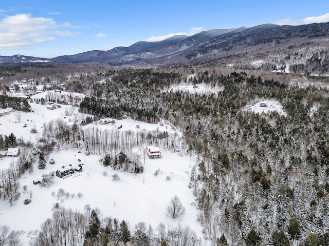 snowy aerial view featuring a mountain view