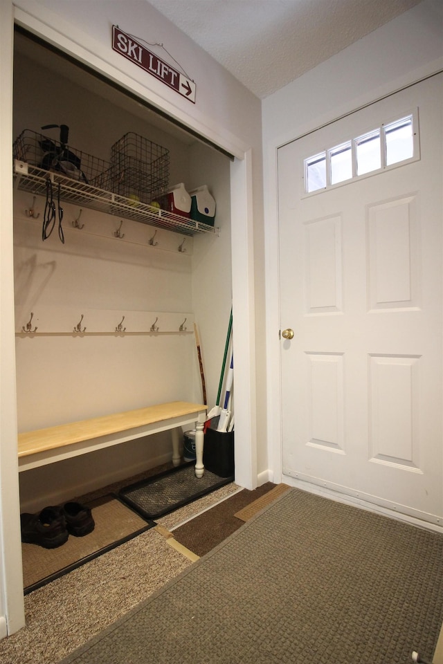 mudroom with carpet