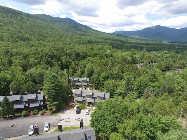 bird's eye view with a mountain view