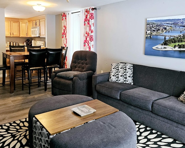 living room with dark hardwood / wood-style floors