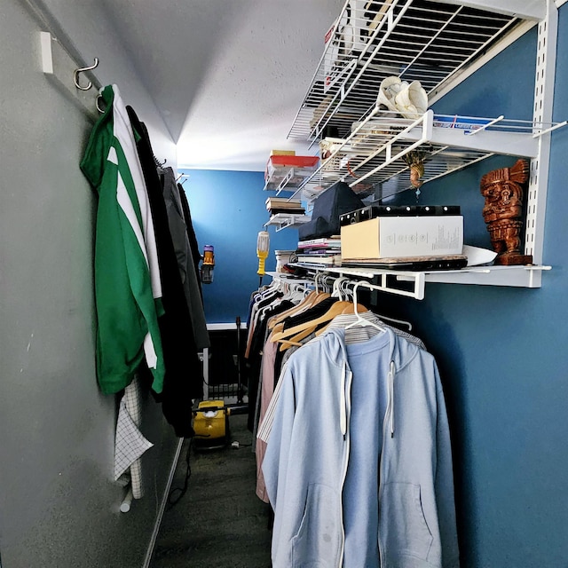 view of walk in closet