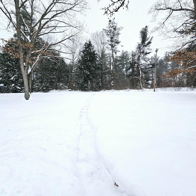 view of snowy yard