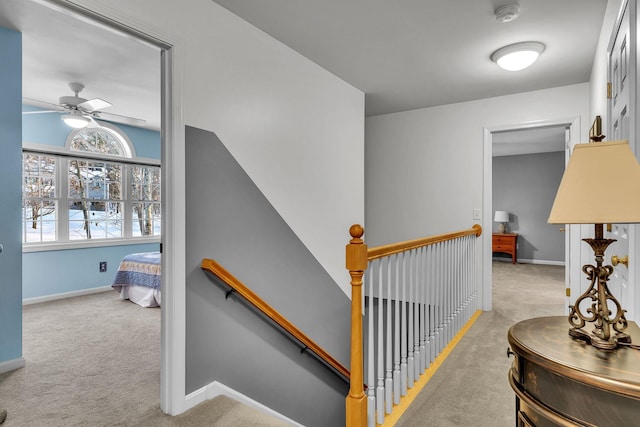 stairway with carpet and ceiling fan